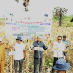 Gubernur NTT Apresiasi Program TJPS di Kabupaten Lembata