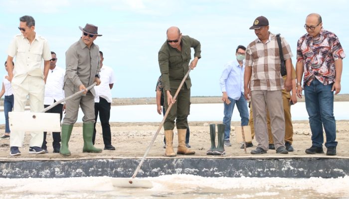 Gubernur NTT Panen Garam di Kabupaten Kupang