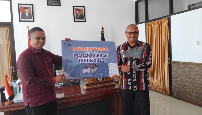 Bank NTT Serahkan Buku Tabungan persiapan Qurban 2025 ke Pemda Lembata, Bupati Paskalis Buka dengan Dua Ekor Sapi