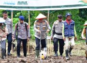 Kapolda NTT Pimpin Penanaman Jagung Serentak di TTU