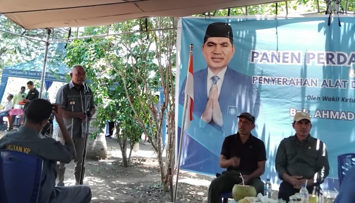 Bulan Depan Pemda Lembata Launching Penjualan Ayam Beku Lokal