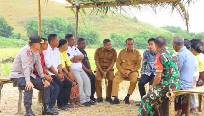 Wapres Gibran Rakabuming Didampingi Gubernur NTT Serap Aspirasi Petani Desa Kolisia, Kabupaten Sikka
