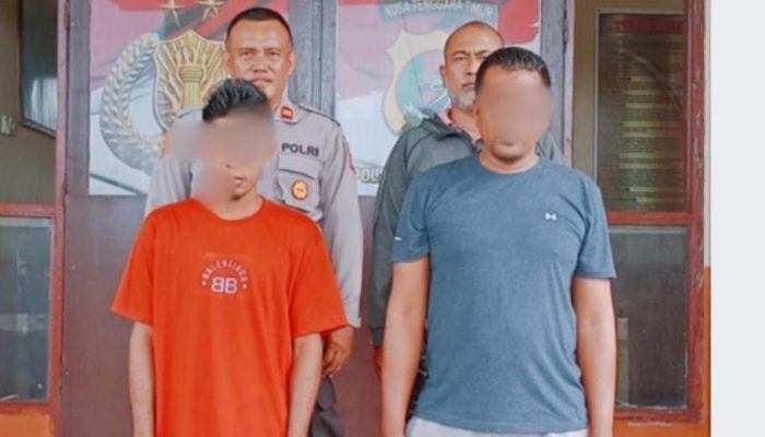 Polsek Pahunga Lodu ungkap Kasus Pencurian Kuda Milik Warga Kuruwaki