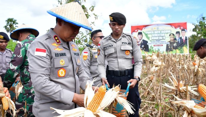 Kapolda NTT Pimpin Panen Raya Jagung Serentak, Dorong NTT jadi Lumbung Pangan Nasional